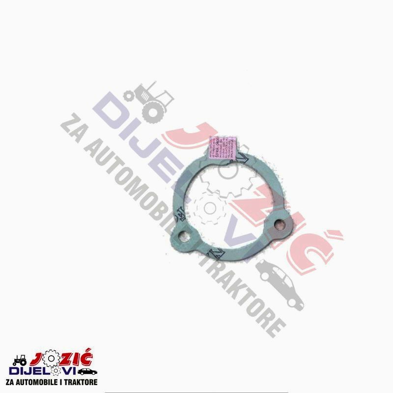 Daisy on the Ohoopee